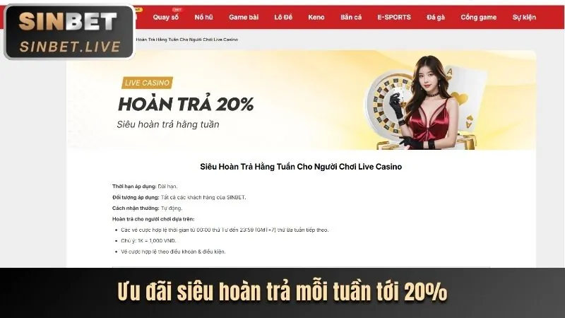 Ưu đãi độc quyền cho VIP